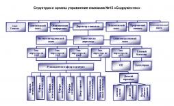 Структура и органы управления образовательным учреждением